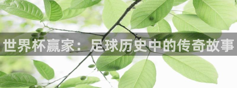世界杯比赛赛程：世界杯赢家：足球历史中的传奇故事