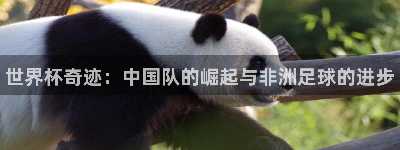 2026世界杯亚洲预选赛赛程：世界杯奇迹：中国队的崛起与非洲足球的进步