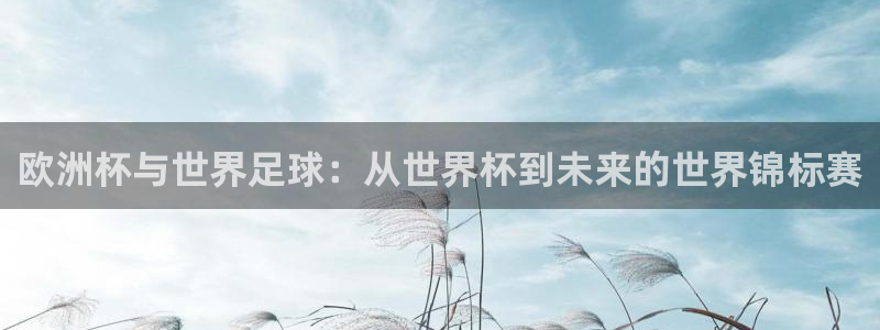 世界杯预选赛赛程表：欧洲杯与世界足球：从世界杯到未来的世界锦标赛