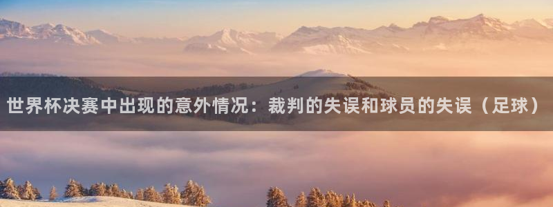 2006世界杯：世界杯决赛中出现的意外情况：裁判的失误和球员的失误（足球）