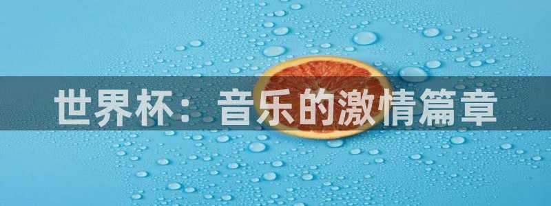 2006世界杯：世界杯：音乐的激情篇章
