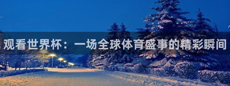 世界杯 2026：观看世界杯：一场全球体育盛事的精彩瞬间