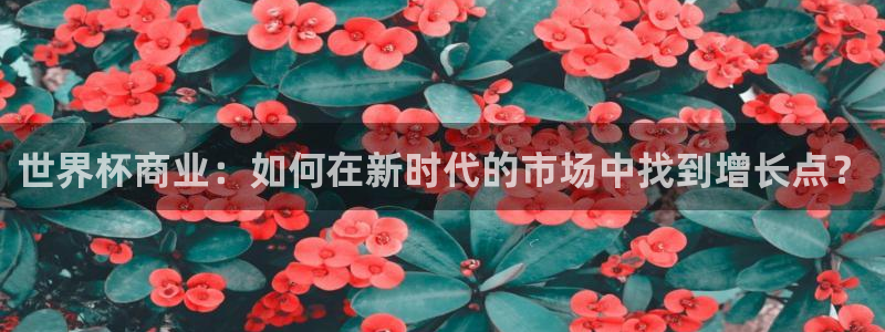 2026世界杯直播免费观看：世界杯商业：如何在新时代的市场中找到增长点？