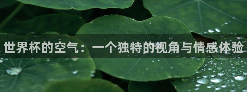 世预赛赛程表：世界杯的空气：一个独特的视角与情感体验