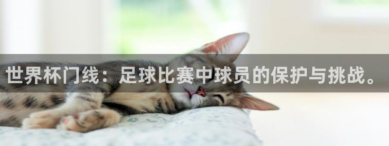世界杯决赛直播：世界杯门线：足球比赛中球员的保护与挑战。