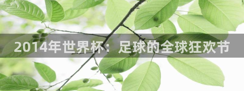 世界杯预选赛赛程表：2014年世界杯：足球的全球狂欢节