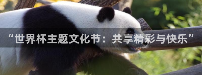 世界杯赛程表：“世界杯主题文化节：共享精彩与快乐”