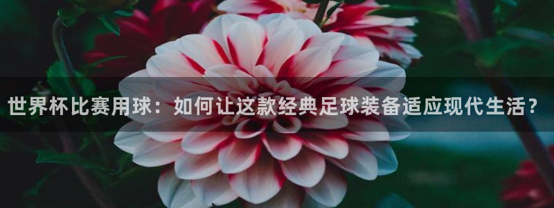 世界杯在线直播入口：世界杯比赛用球：如何让这款经典足球装备适应现代生活？