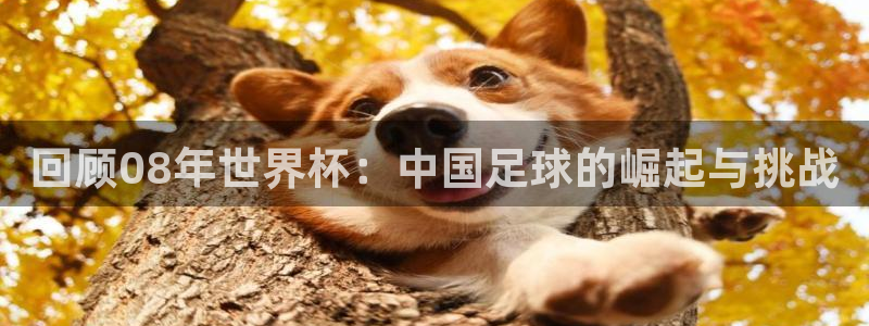 足球杯：回顾08年世界杯：中国足球的崛起与挑战
